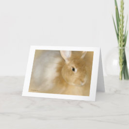Bunny Rabbit (Caramel) Feestdagen Kaart