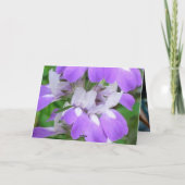 Bunny Rabbit Feestdagen Kaart (Achterkant)