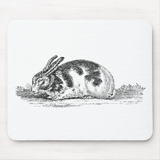  Bunny Rabbit Illustration - 1800 konijnen Muismat (Voorkant)