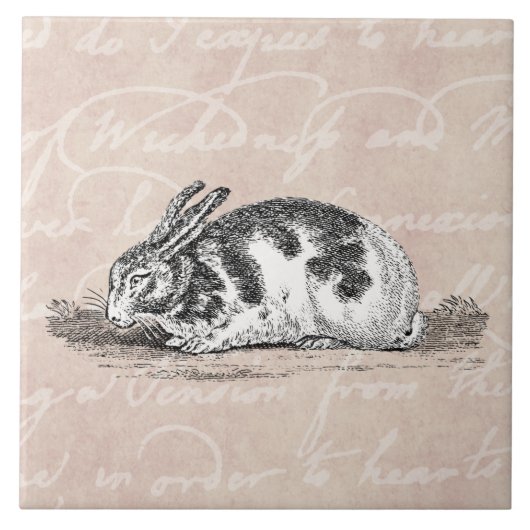 Bunny Rabbit Illustration - 1800 konijnen Tegeltje (Voorkant)