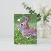 Bunny Rabbit in Grass Spring Animal Photography Briefkaart (Staand voorkant)