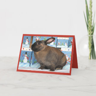 Bunny Rabbit Kerstmis met Sneeuwman Vakantie Dozen Feestdagen Kaart
