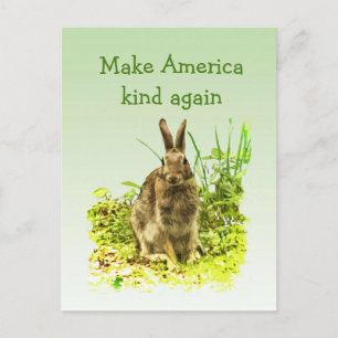 Bunny Rabbit maakt Amerika weer een soort Briefkaa Briefkaart