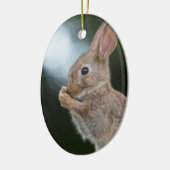Bunny Rabbit Natuur Foto Keramisch Ornament (Links)