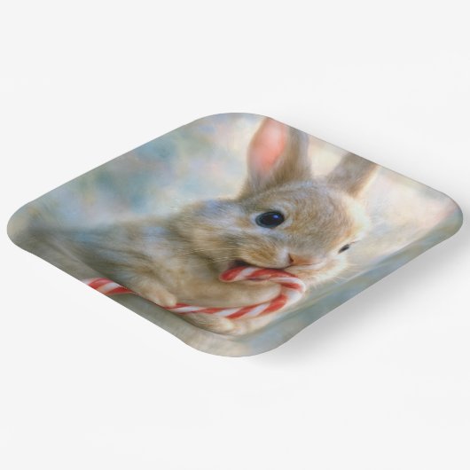 Bunny Rabbit Nibbling On a Candy Cane Papieren Bordje (Gebogen)