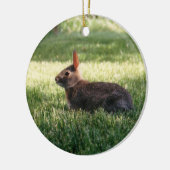 Bunny Rabbit Ornament (Links)