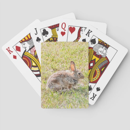 Bunny Rabbit - Pasen - Wild - Dierenspelen Pokerkaarten (Achterkant)