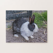 Bunny rabbit puzzle legpuzzel (Horizontaal)