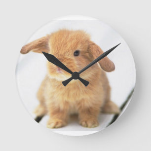 Bunny Rabbit Ronde Klok