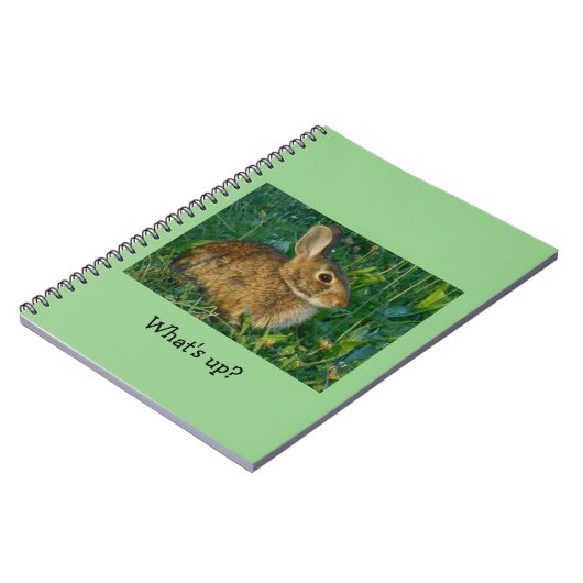 Bunny Rabbit Spiral Photo Notebook Notitieboek (Linkerzijde)