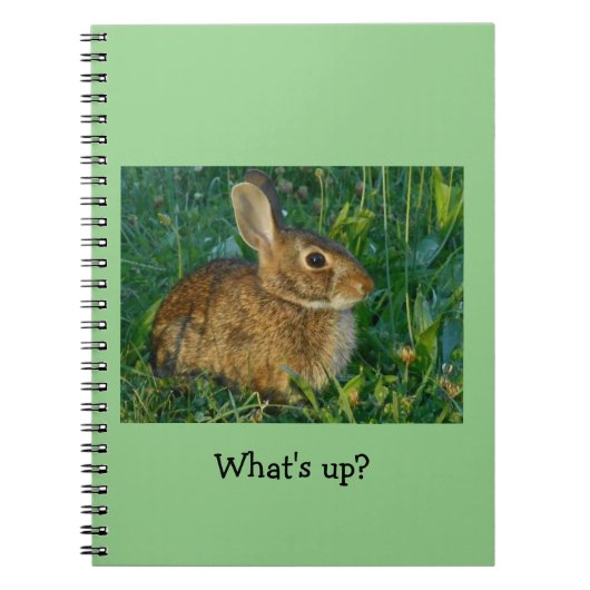 Bunny Rabbit Spiral Photo Notebook Notitieboek (Voorkant)