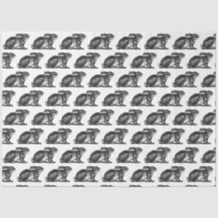Bunny Rabbit Tissue Paper in Black & White Tissuepapier