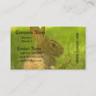 Bunny Rabbit Visitekaartjes