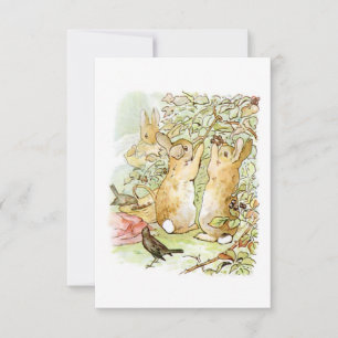 Bunny Rabbits: Blackberry Picking (Beatrix Potter) Kaart