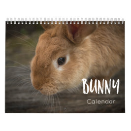 Bunny (Rabbits) kalender 2023