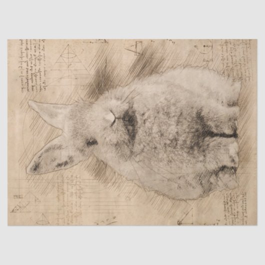 Bunny Rustic Grunge Tekening Tissuepapier (Voorkant)