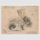 Bunny Rustic Grunge Tekening Tissuepapier (Voorkant)