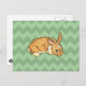 Bunny Sage Chevron Duo Briefkaart (Voorkant / Achterkant)