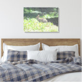 Bunny sauvage photo sur toile (Insitu(Chambre))