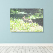 Bunny sauvage photo sur toile (Insitu (Plancher de Bois))