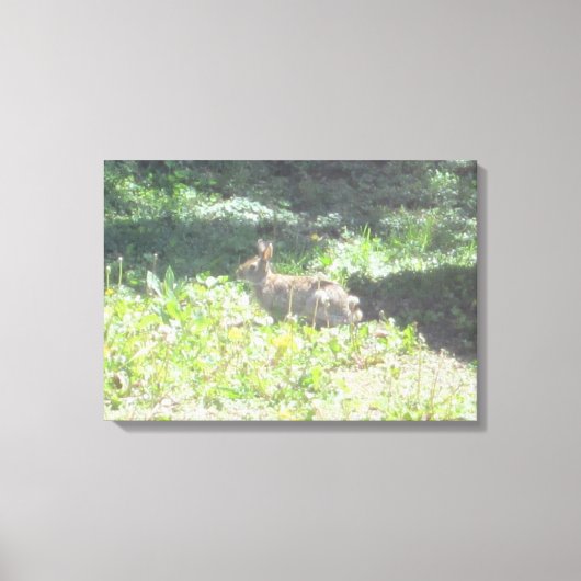 Bunny sauvage photo sur toile (Recto)