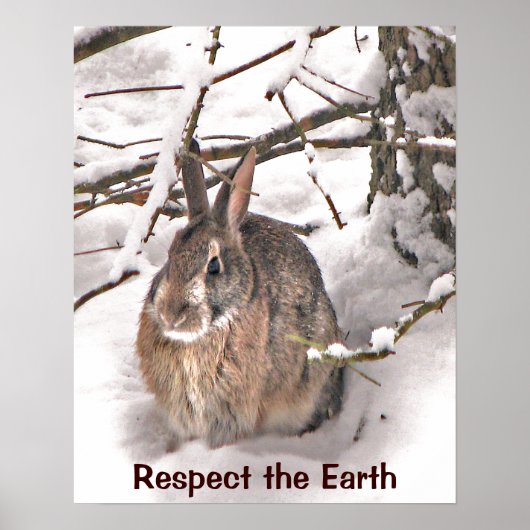 Bunny Seeking Shelter Earth Day Poster (Voorkant)