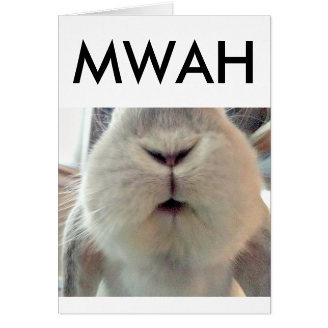 Bunny Smooches (Voorkant)