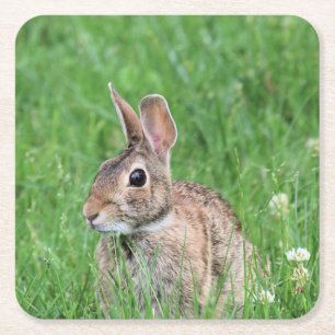 Bunny Vierkante Kartonnen Onderzetter