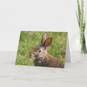 Bunny Wenskaart Kaart
