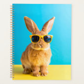 bunny with sunglasses (Devant)