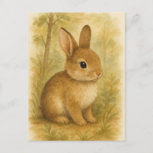 Bunny Young Hare Baby Rabbit Wild Animals Briefkaa Briefkaart