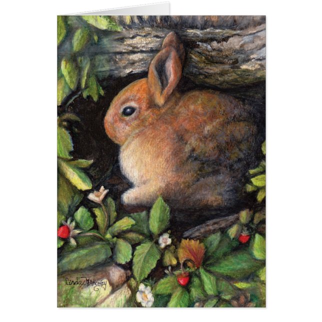 Bunny'n bessen (Voorkant)