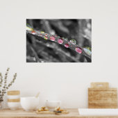 Bunte Tropfen-colorful drops-druppels Poster (Keuken)