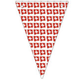 Bunting Banner Zwitserland (Eerste vlag)