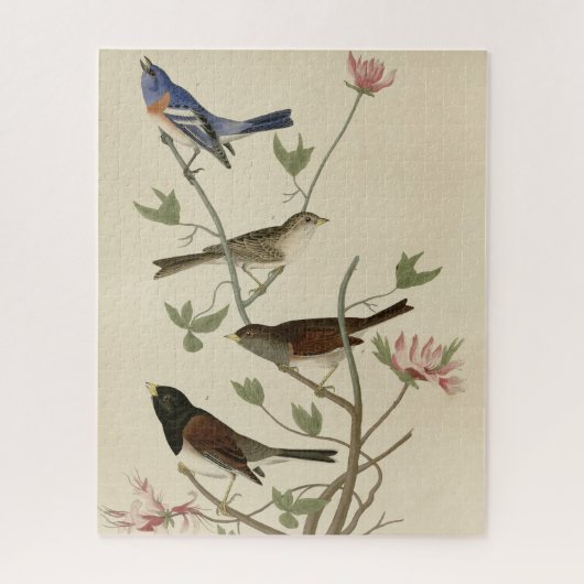 Bunting, Sparrow, Junco (Finches) Audubon's vogels Legpuzzel (Verticaal)