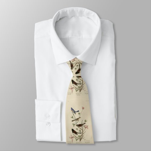 Bunting, Sparrow, Junco (Finches) Audubon's vogels Stropdas (Gebonden)