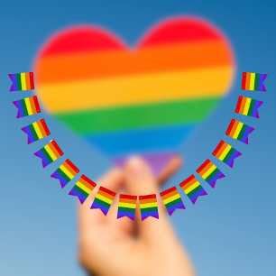 Bunting van de Regenboog van de trots Vlaggetjes
