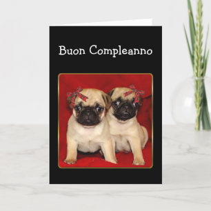 Buon compleanno Verjaardag Pugs wenskaart Kaart