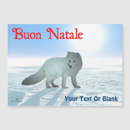 Buon Natale - Arctic Fox (Voorkant)