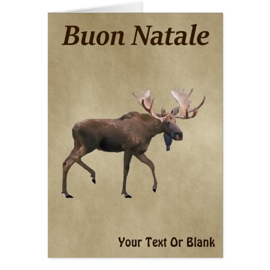 Buon Natale - Bull Moose op oud papier (Voorkant)