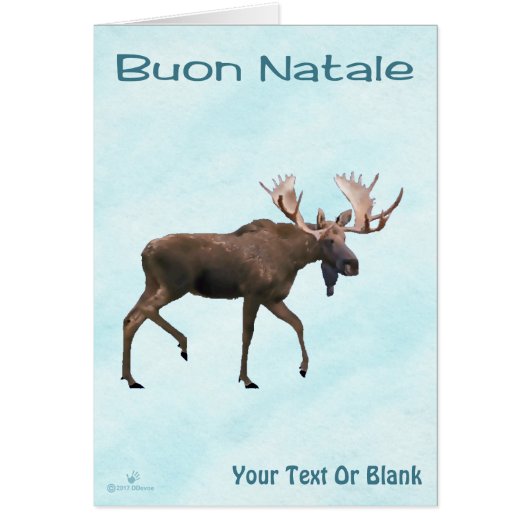 Buon Natale - Bull Moose op sneeuw (Voorkant)
