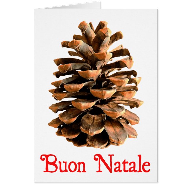 Buon Natale - Jerusalem Pine Cone (Voorkant)
