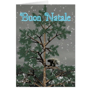 Buon Natale - Porcupine in een pijnboom