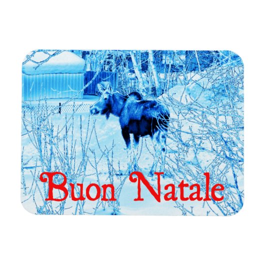 Buon Natale - Urban Moose Magneet (Horizontaal)