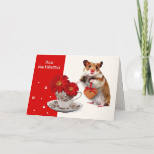 Buon San Valentino. Carte de crédit en Italie