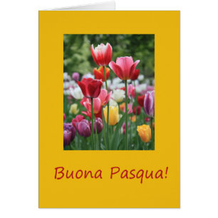 Buona Pasqua Italy Happy Pasaster
