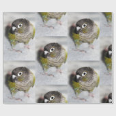 Burbel Cadeaupapier (Vlak)