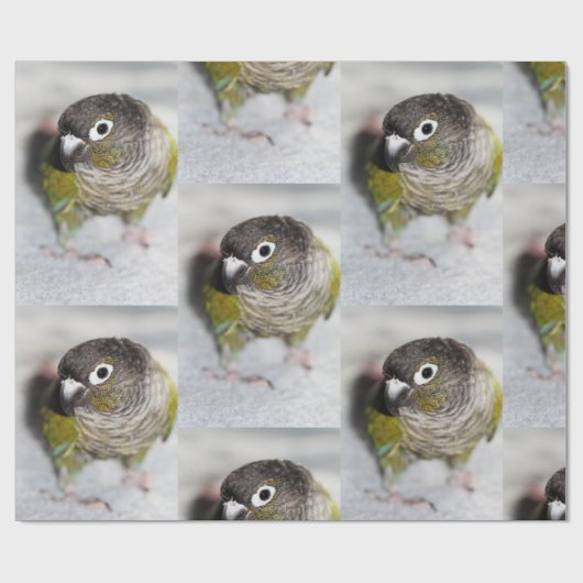 Burbel Cadeaupapier (Vlak)