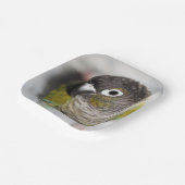 Burbel Papieren Bordje (Gebogen)