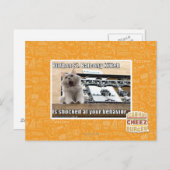 Burbon St. Balkon Kitten Briefkaart (Voorkant / Achterkant)